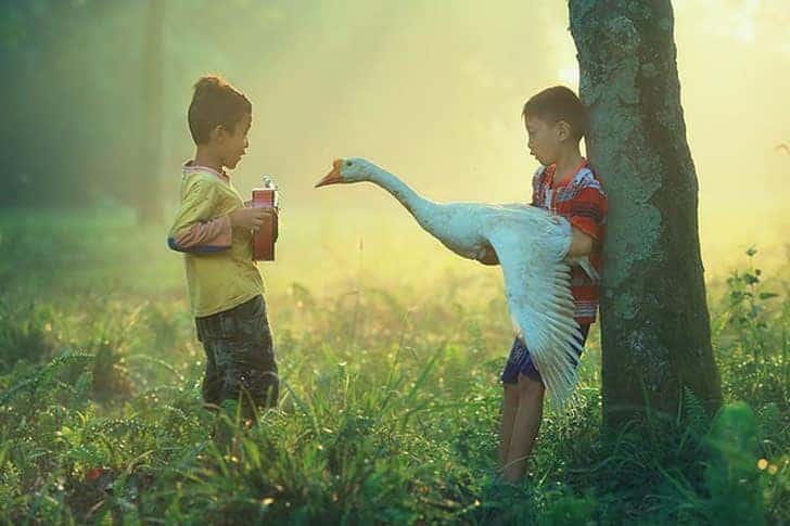 42+ Potret Masyarakat Desa Terbaik Karya Fotografer Indonesia 18 15. Potret Masyarakat Desa - Karya Achmad Munasit / Asit - Design Erlistic
