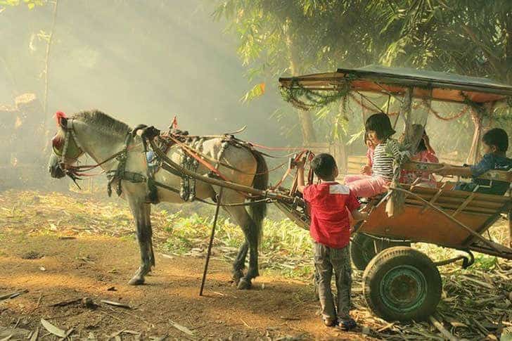 42+ Potret Masyarakat Desa Terbaik Karya Fotografer Indonesia 45 45. Gambar Masyarakat Pedesaan - Karya Achmad Munasit / Asit - Design Erlistic
