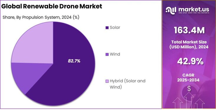 Renewable Drone Market Share