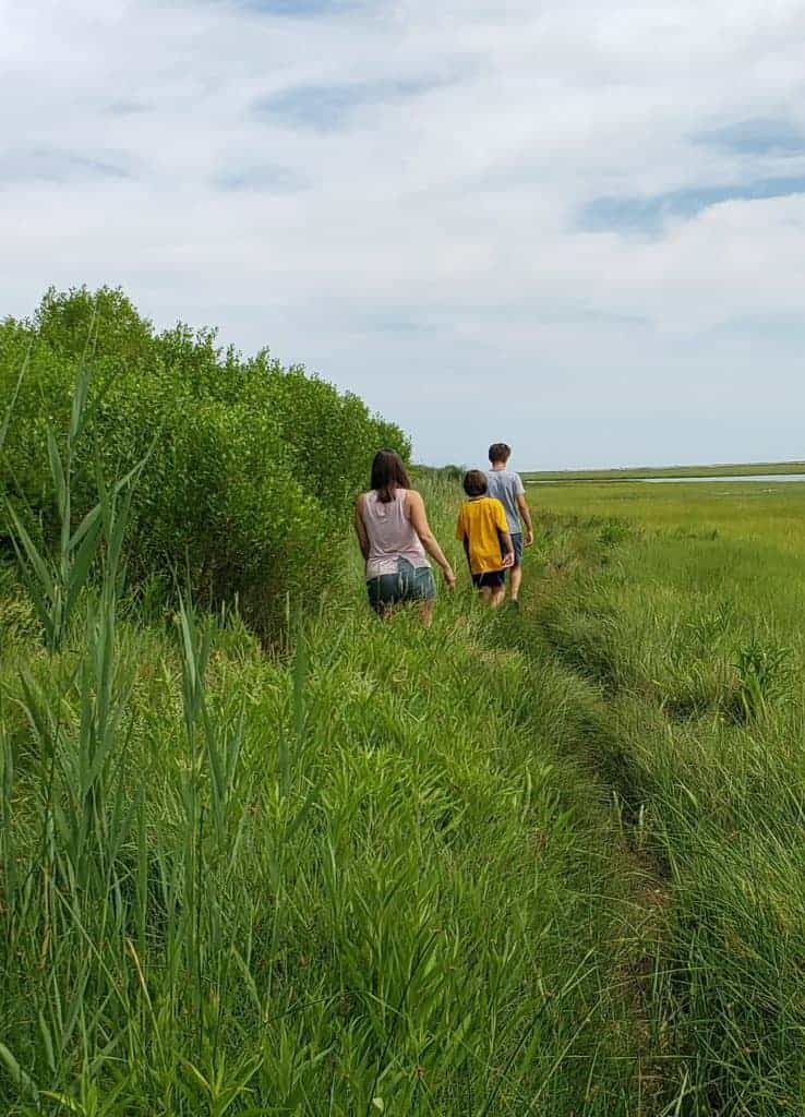 hiking at ft hill cape cod