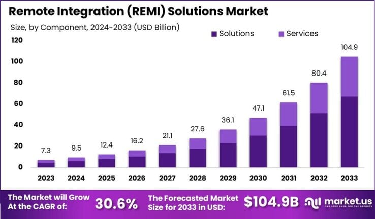 Remote Integration (REMI) Solutions Market size