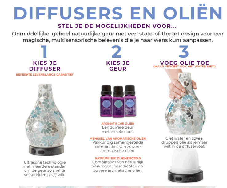 2020/2019 Dutch Nederland Scentsy Catalogue Is Here... 2022 Screenshot 2019 09 20 at 11.20.59 2022