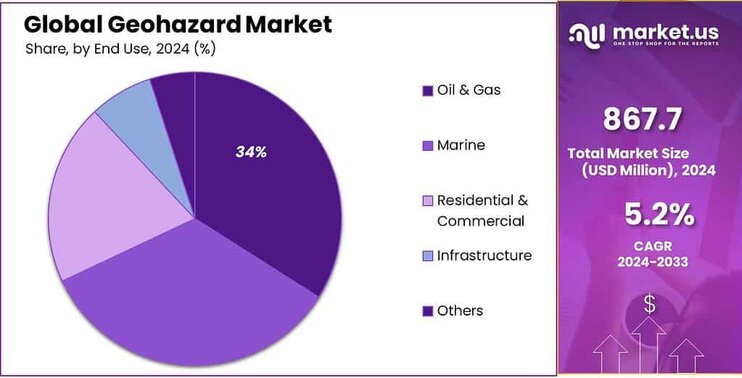Geohazard Market Share