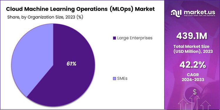 Cloud Machine Learning Operations (MLOps) Market share (1)