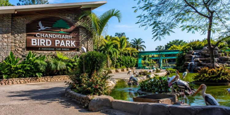 Chandigarh Bird Park