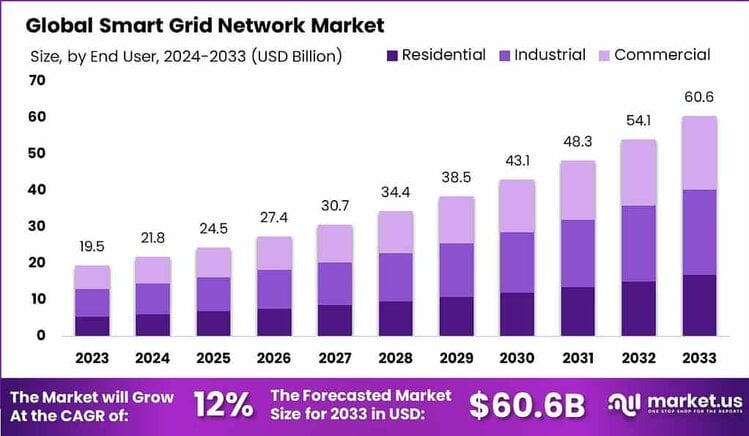 Smart Grid Network Market size