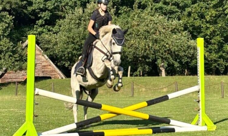 Emily Stürmer springt mit Pferd Nehro über ein Hindernis bei der Turniervorbereitung
