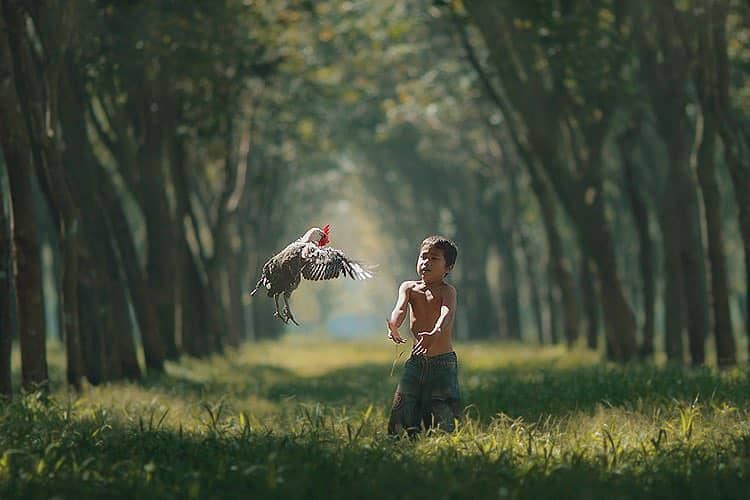 42+ Foto Pemandangan Desa Dengan Sejuta Keunikannya 19 16. Fotografi Pedusunan Indonesia - Karya Achmad Munasit / Asit - Design Erlistic