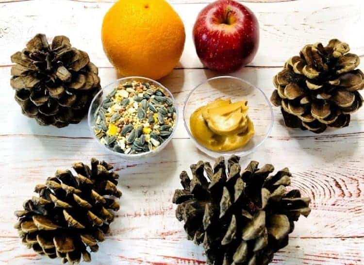 fruit, nuts and pine cones on a wood table