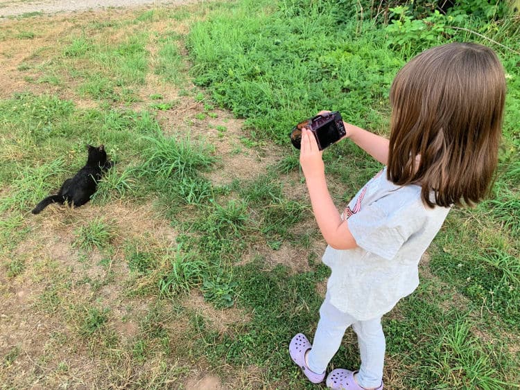 young girl taking a photo of a cat laying on the grass.