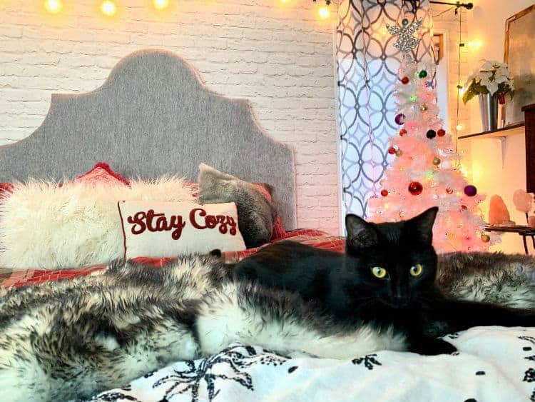 cat sleep on bed with christmas bedroom decor