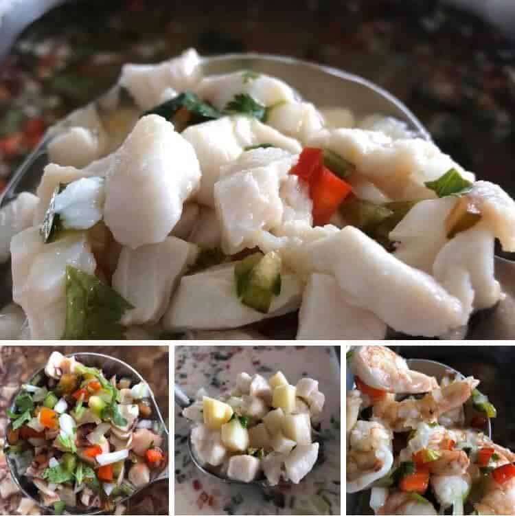 131384139 796481204534391 7990292905411850530 n