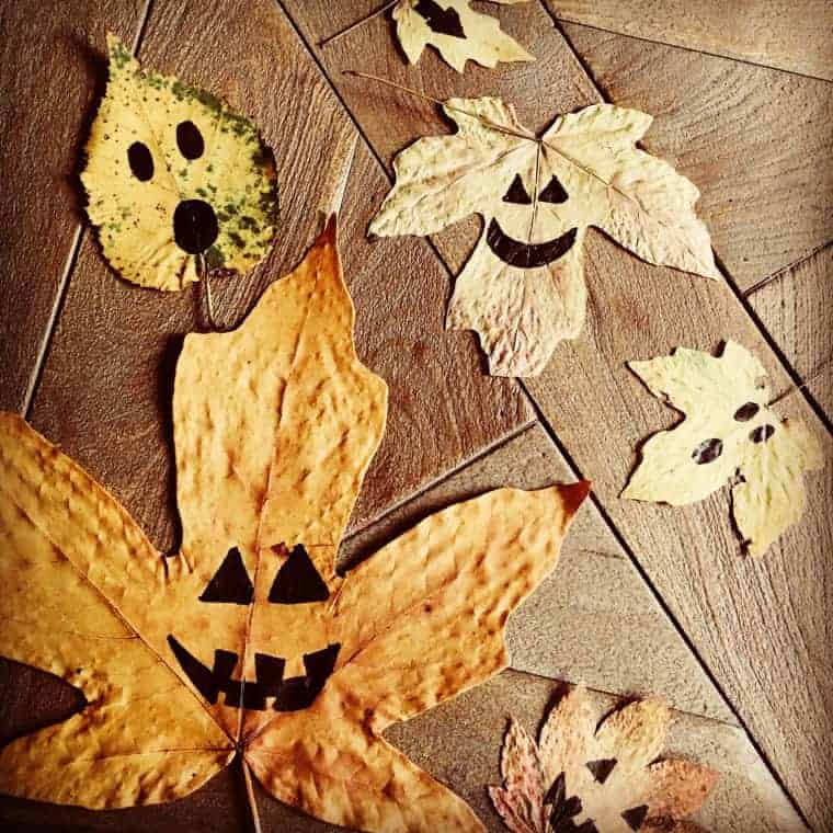 pumpkin leaves dried leaf art