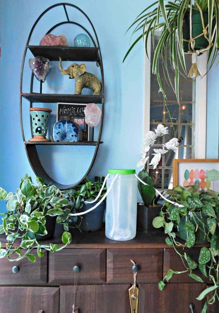 jug of water with string wicking water to house plants