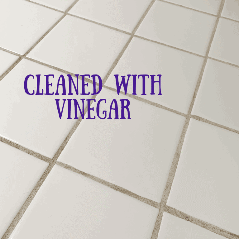 clean grout after it was cleaned with vinegar