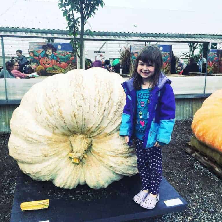 child standing next to giant white pumpkin