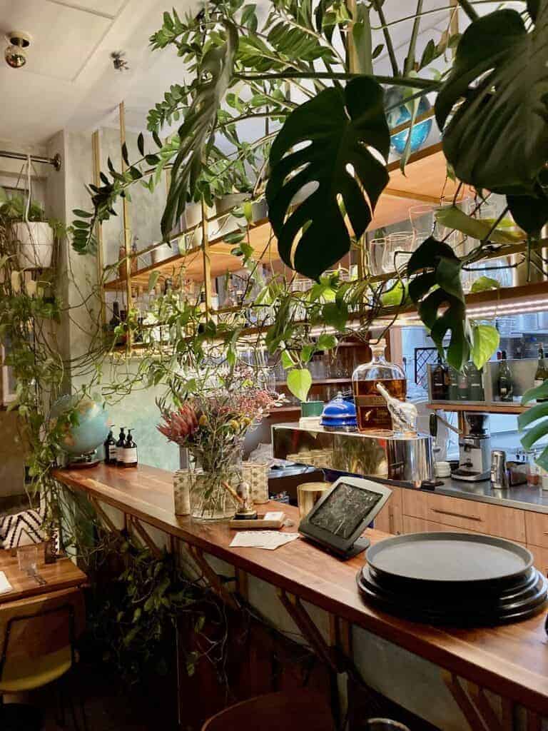 Vegane Menüs im Globo in Nürnberg.