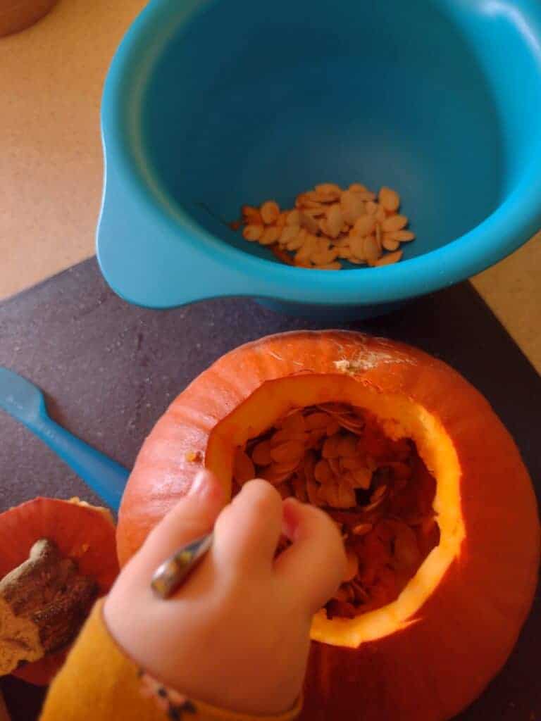 Picture of toddler scooping seeds from a pumpkin