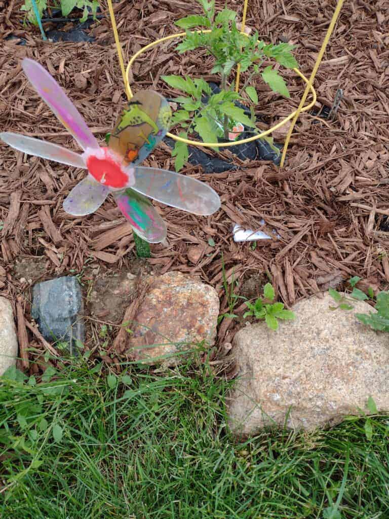 Picture of a scavenger hunt clue hidden in mulch