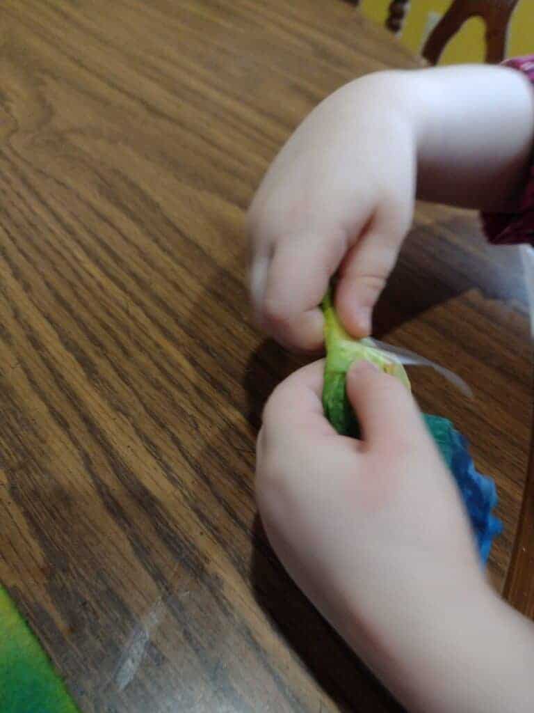 Picture of a preschooler placing tape around the middle of a scrunched up tie dye paper towel