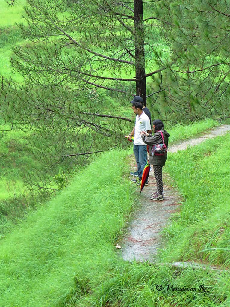 chasing monsoon magic binsar