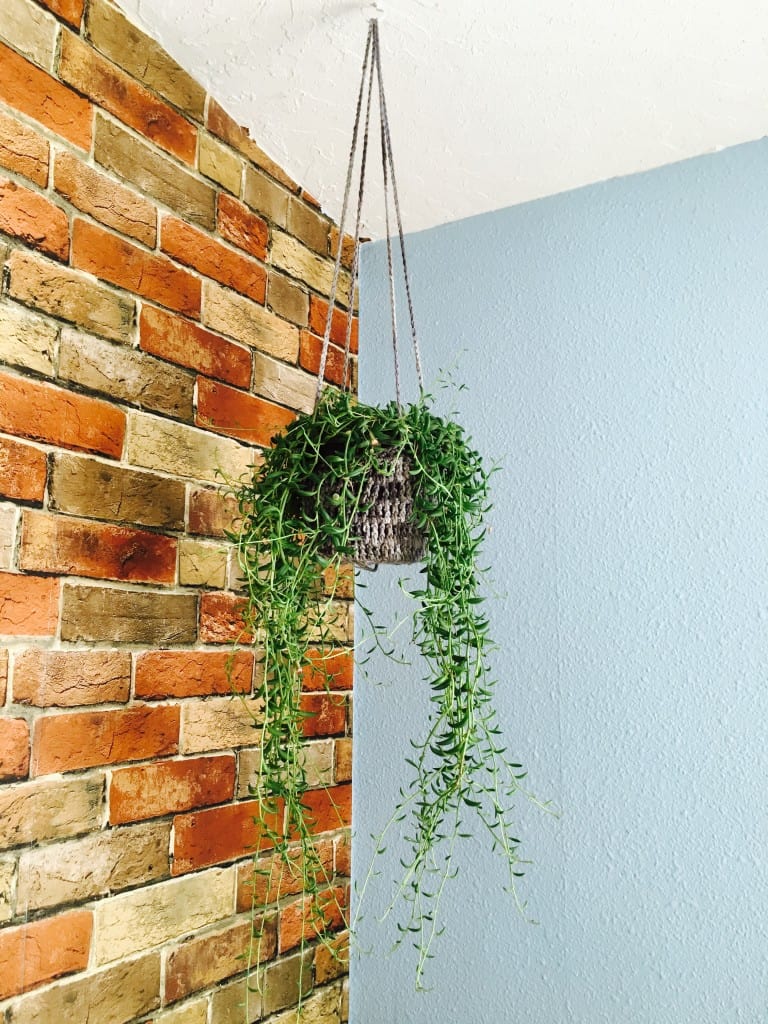 crochet plant hanger hanging from ceiling in front of brick wall