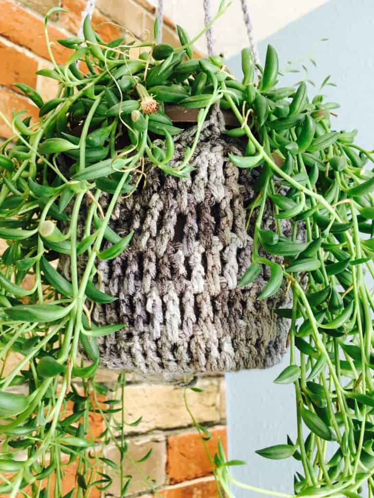 crochet plant hanger close up with leaves hanging down
