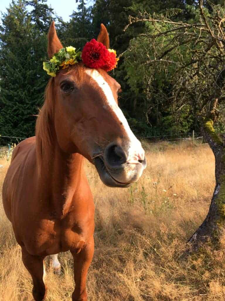 flower crown tutorial 3