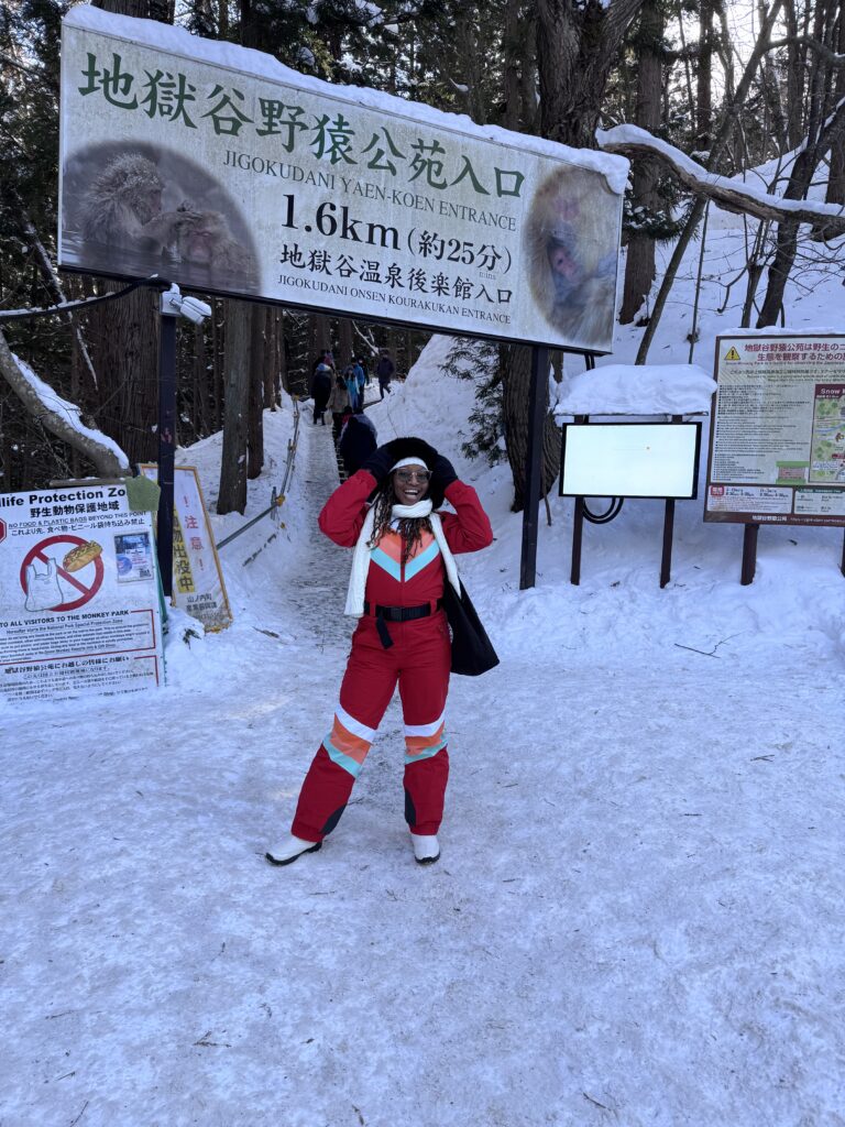 Snow Monkey Park Nagano Japan