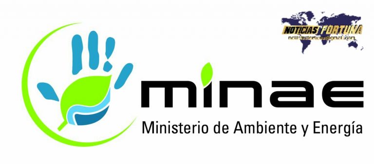 Logo MINAE