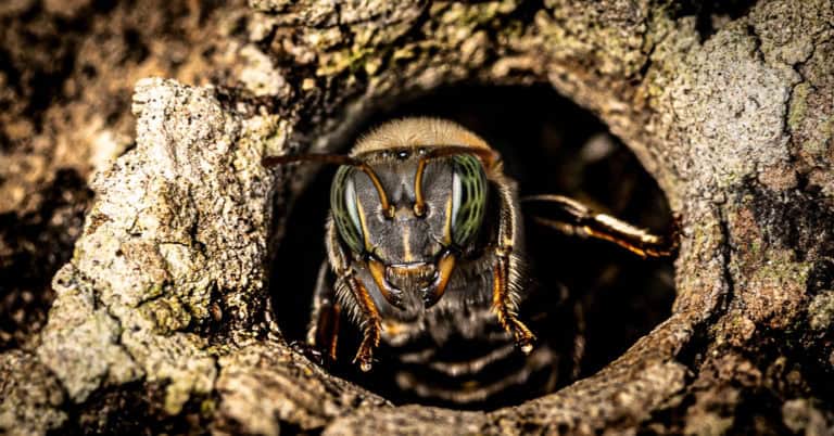 PSX 20201217 224054 768x402