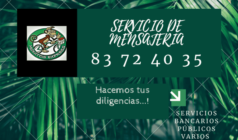 Servicio Express Los Monitos