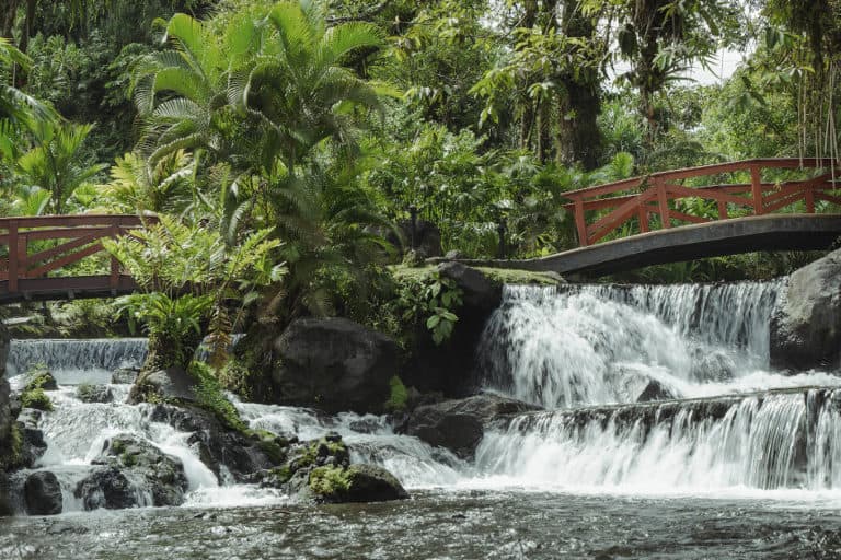 Aguas termales tabacon 768x512