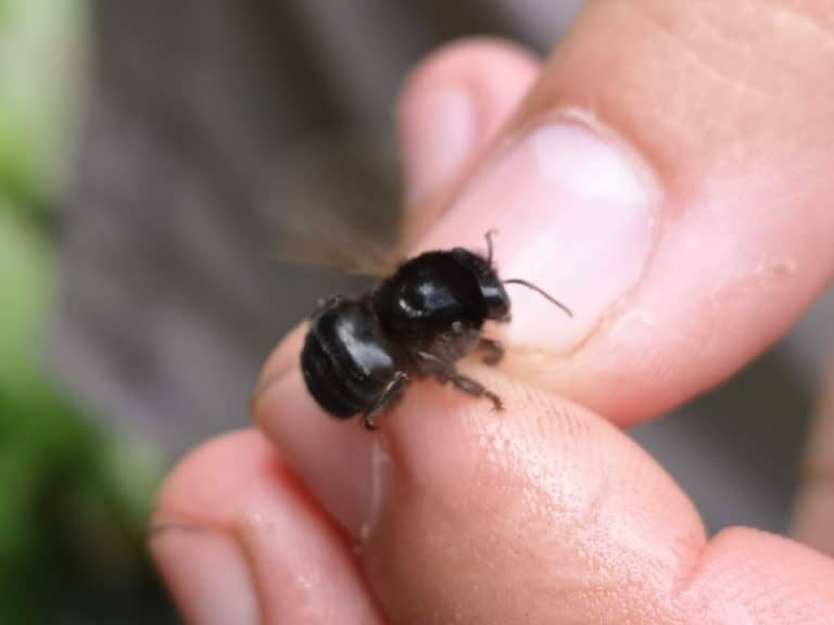 IMG 20190704 125203 1 768x576