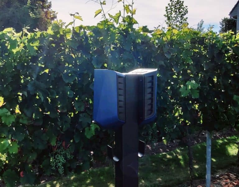 Easee installatie blauw op dubbele base in oost-vlaanderen