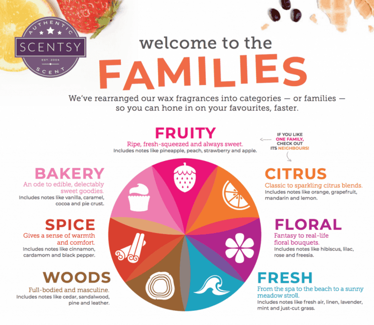 What's New in 2019 Scentsy Catalogue? 2022 Scentsy Fragrance Families