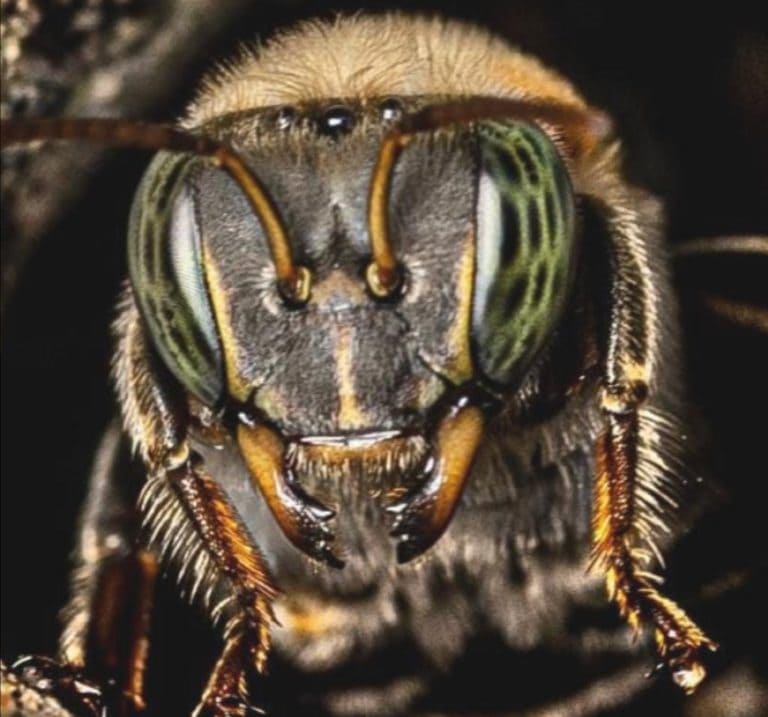 IMG 20210401 061230 768x717