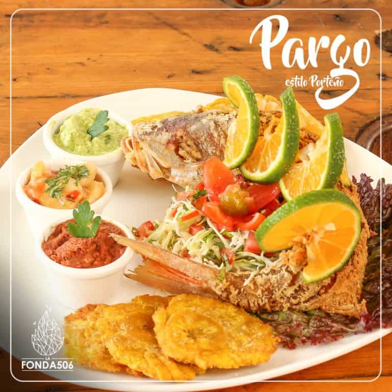 88053968 1289915984537849 329859372437995520 n 768x768