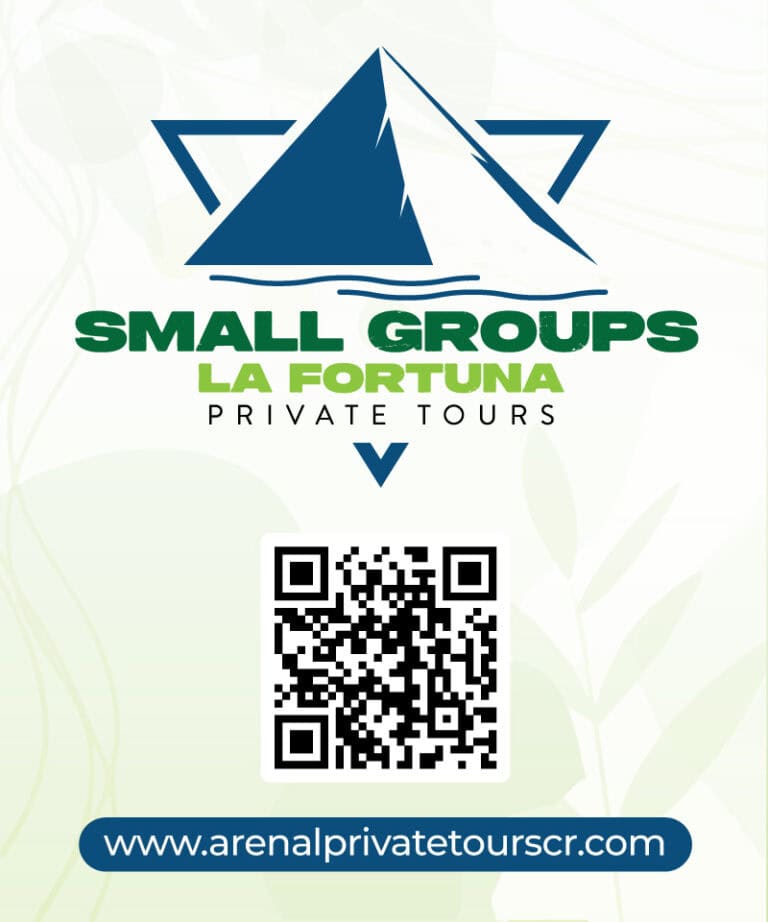 logo Nuevo 1 768x922