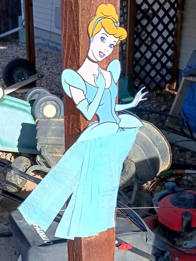 Picture of Cinderella picture with streamers as the dress