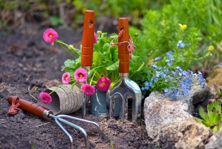 growing a garden