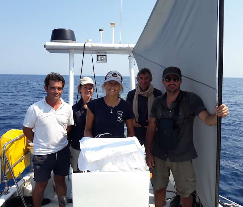 A l’écoute des cachalots de Méditerranée…