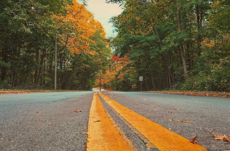 road with two yellow lines signifying struggle of drug overdose deaths