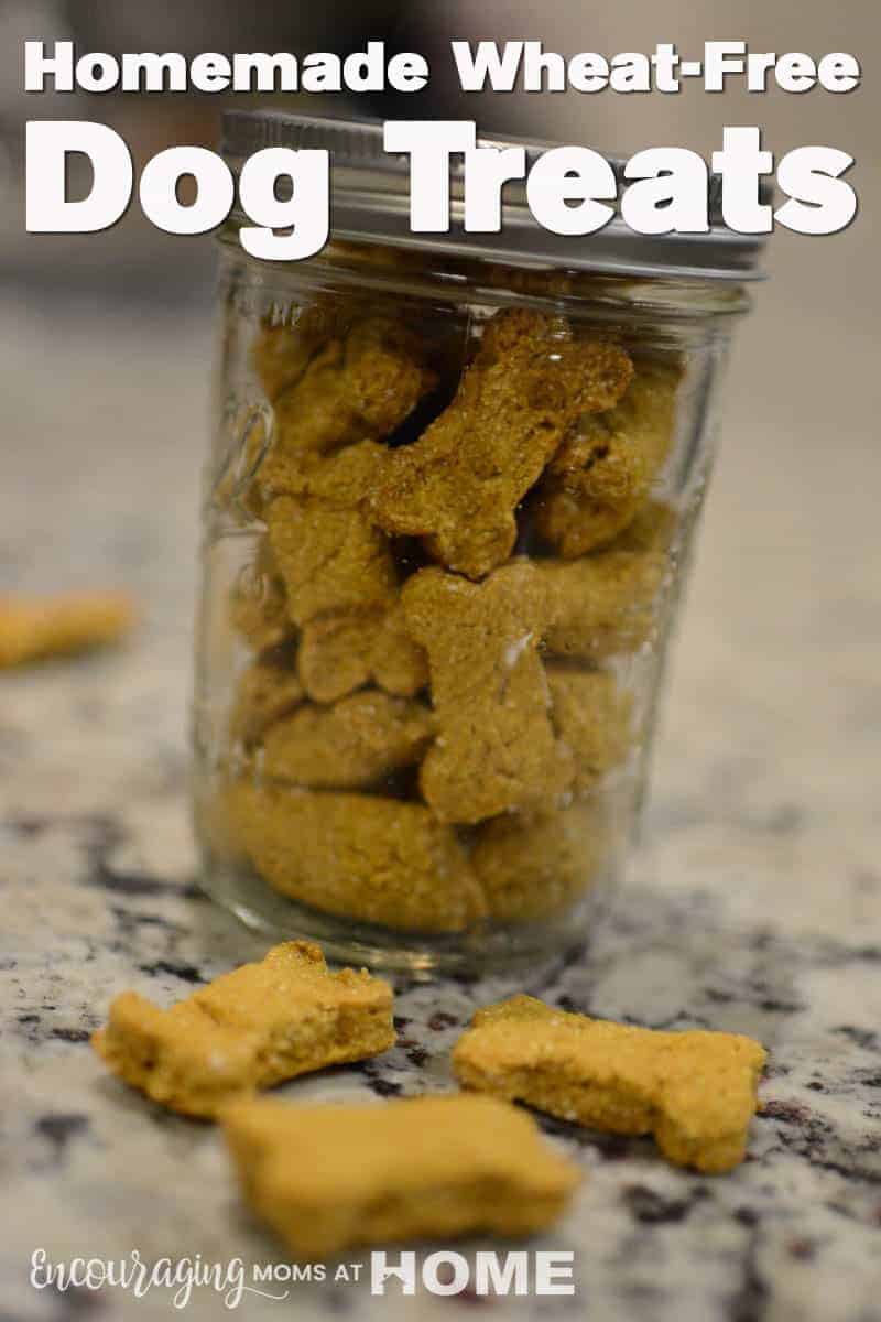 Homemade Wheat Free Dog Treats your Pet Will Love