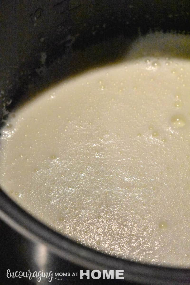 How To Make Instant Pot Yogurt WITHOUT The Yogurt Button - Sparkles to  Sprinkles