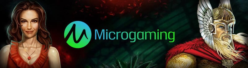 Microgaming Free Spins Bonuses and Free Play Games
