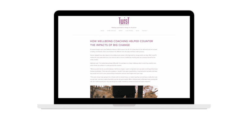 Screen shot of the case study on Twist Consultants' website