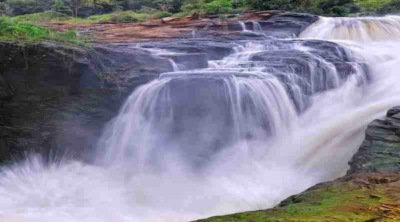 Photo of 10 Great Ideas For Uganda Romantic Tour For Wildlife Lovers | Augustine Tours 1/1 by Augustine
