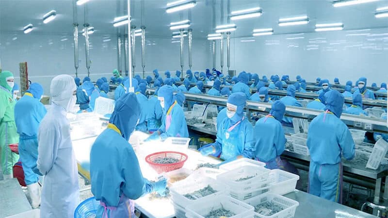 Thiết kế chiếu sáng xưởng đông lạnh