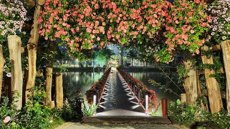 Dự án chiếu sáng công viên Hồ thiên nga `